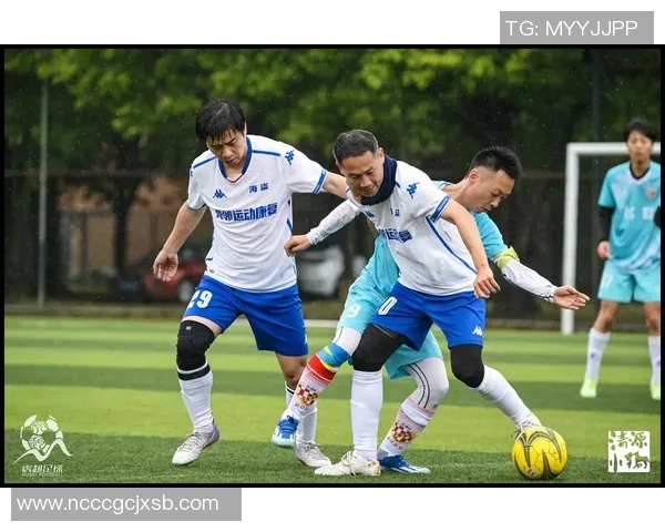 各大足球联赛明星球员全景图鉴及详细名单一览