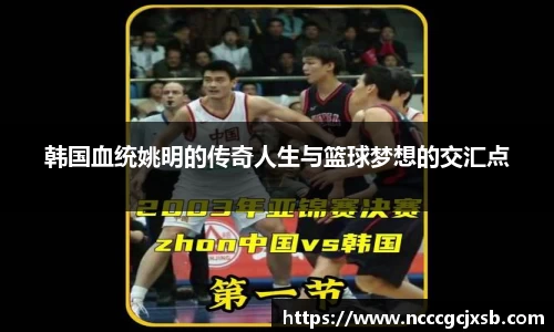 韩国血统姚明的传奇人生与篮球梦想的交汇点