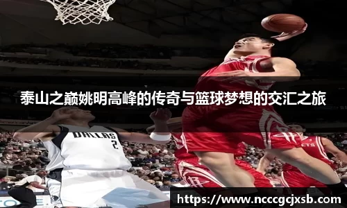 泰山之巅姚明高峰的传奇与篮球梦想的交汇之旅