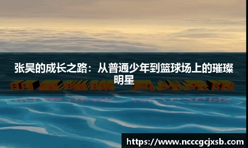 JN江南体育官网